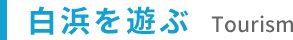 白浜を遊ぶ